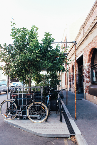 Bicycle Near Tree